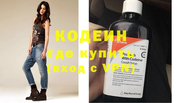 дживик Карпинск