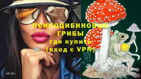спиды Карталы