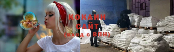 дживик Карпинск