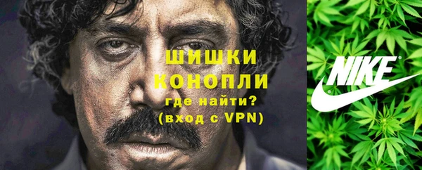 дживик Карпинск