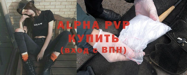 дживик Карпинск