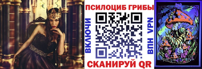 Купить закладки Анадырь Галлюциногенные грибы Magic Shrooms